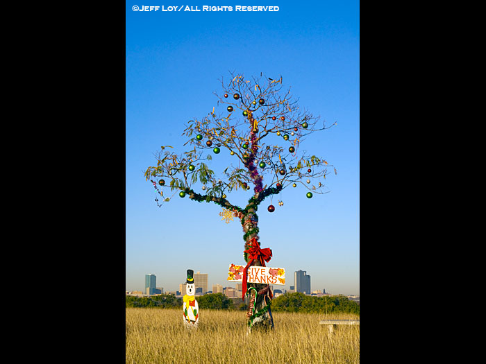 The Homeless Christmas Tree