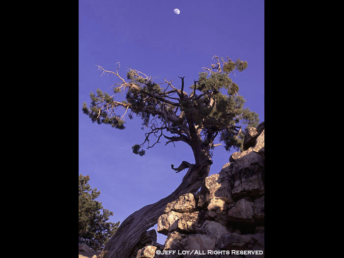 Moonrise at the South Rim of the Grand Canyon.