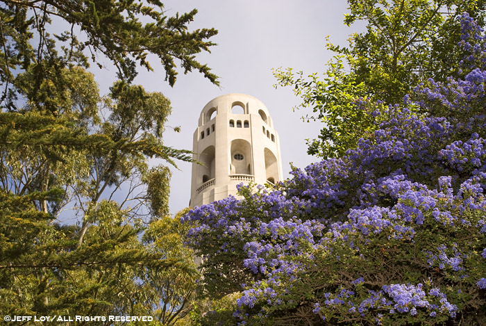 Coit Tower